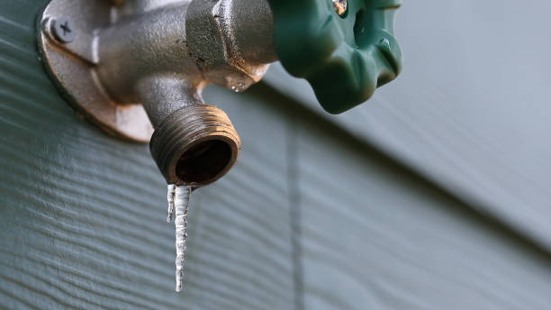 Best Shower Repair Services  in Chatmoss, VA